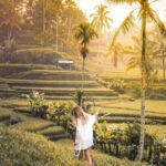 Half Day Tour: Discover Best of Ubud in 5 Hours - What to Expect from This 5-Hour Bali Tour