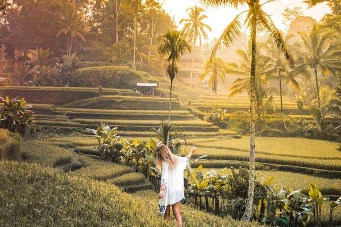 Half Day Tour: Discover Best of Ubud in 5 Hours - What to Expect from This 5-Hour Bali Tour