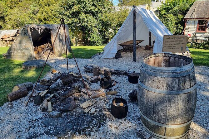 Half Day Tour EAST AUCKLAND Explorer and Scenic Ferry Return - What the Tour Includes and What to Consider