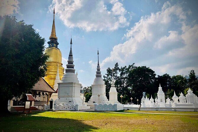 Half Day tour Suan Dok Temple, Umong temple & Doi Suthep Temple - Who Will Love This Tour?