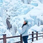 Half Day Tour to Eobi Ice Valley and Nami Island - The Sum Up