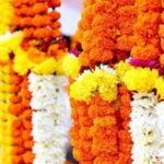 Half Day Tour to the Flower Market and Howrah Bridge in Kolkata - A Closer Look at the Tour Itinerary