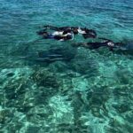 Half day tour with Snorkel at Sancturary and Sulpa island - Frequently Asked Questions