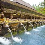 Half Day Ubud and Tampak Siring Private Tour From Bali - Who Will Love This Tour?