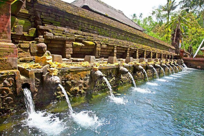 Half Day Ubud and Tampak Siring Private Tour From Bali - Who Will Love This Tour?