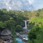 Half Day Ubud Private Tour with All Inclusive - Tegenungan Waterfall: A Nature Lover’s Delight