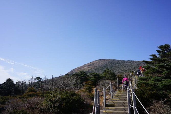 Hallasan Seongpanak transfer,One way, Round trip - The Real Deal: What Travelers Say