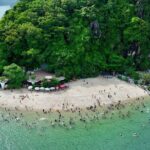 Halong Bay Cruise and Kayaking with Lunch and Music from Hanoi - What’s Included and What to Consider