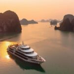 Halong Bay Day Tour from Hanoi Sea Octopus Luxury Cruise - Analyzing the Value