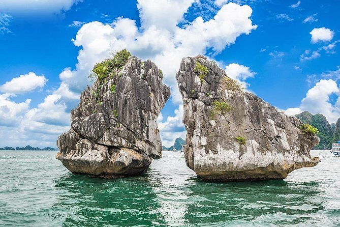 Halong Bay Day Trip 6-Hour Cruise Tour [Round-Trip Highway] With Lunch, Sea Kayak or Bamboo Boat (Row Boat) - Who Will Love This Tour?