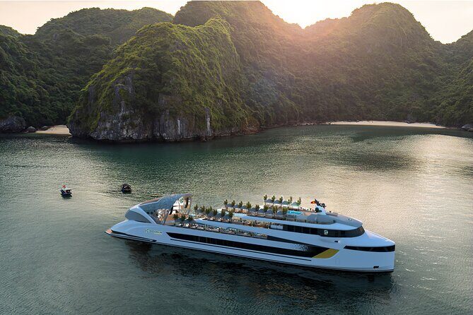 Halong Bay Dolphin Day Cruise  A Premier Modern Luxury - The Value of This Experience