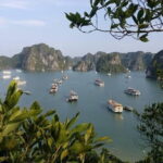 Halong Bay One Day Tour Included Bus - Considerations and Tips
