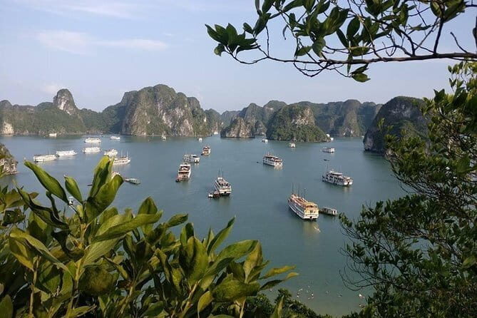 Halong Bay One Day Tour Included Bus - Considerations and Tips