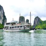 Halong Bay Standard Cruise 1 Day Tour from Tuan Chau Harbor/Hanoi - The Experience in Detail