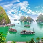 Halong Cruise Day Tour with Lunch, Cave Explore & Titop Island - What Real Travelers Say