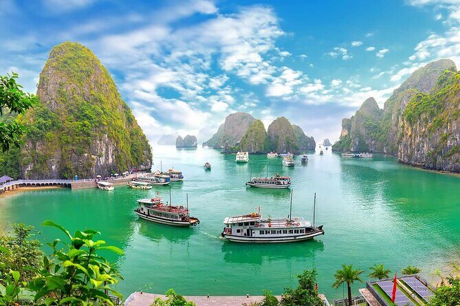 Halong Cruise Day Tour with Lunch, Cave Explore & Titop Island - What Real Travelers Say