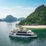 Halong Luxury Day Cruise: Buffet, Sunset Party & Jacuzzi - Key Points