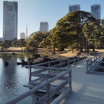 Hama Rikyu Private Tokyo Walking Experience - Practical Details and What You Should Know