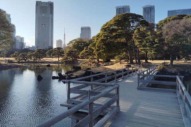 Hama Rikyu Private Tokyo Walking Experience - Practical Details and What You Should Know