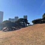 Hamarikyu - Ginza Park Tour - Who Should Consider This Tour?