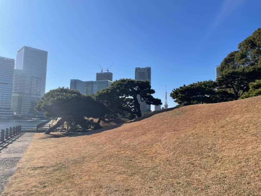 Hamarikyu - Ginza Park Tour - Who Should Consider This Tour?