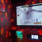 Han River sunset Chicken & Karaoke Private Tour - Authentic Experiences & Cultural Insights