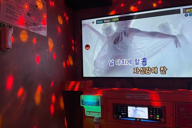 Han River sunset Chicken & Karaoke Private Tour - Authentic Experiences & Cultural Insights