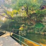 Hangzhou City Walk Tour: West Lake, Old City, Hiking, Garden - Who Will Benefit Most from This Tour?
