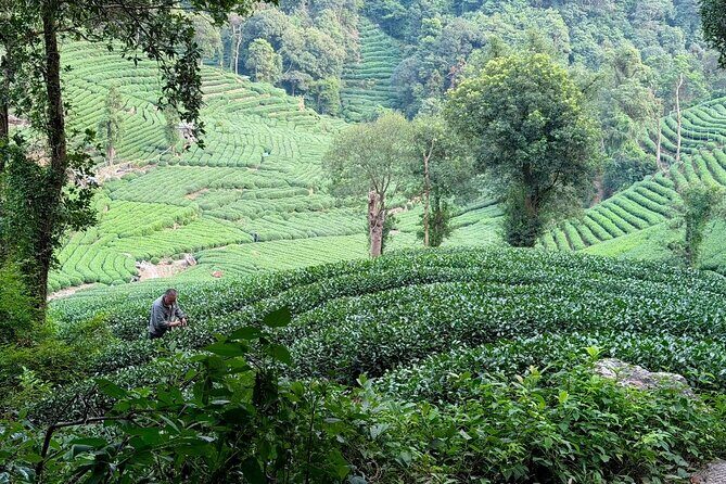 Hangzhou Iconic Group Day Tour - Practical Details and Tips