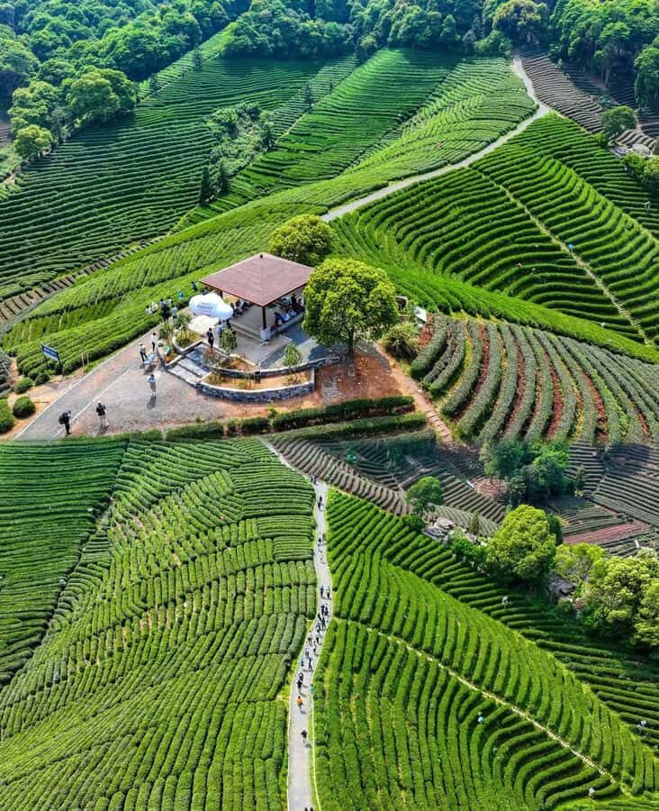 Hangzhou Tea Tour: Villages, Lakes & Whisked Tea Experience - Practical Details and Why They Matter