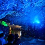 Hangzhou to OMG Park: Private Ride, Drift & Cave Tour - Who Is This Tour Best For?
