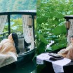 Hangzhou: West Lake Boat Tour Photoshoot - The Experience in Depth