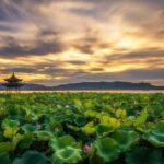 Hangzhou:Cultural and World Heritage Tour with Private Guide - The Itinerary Breakdown