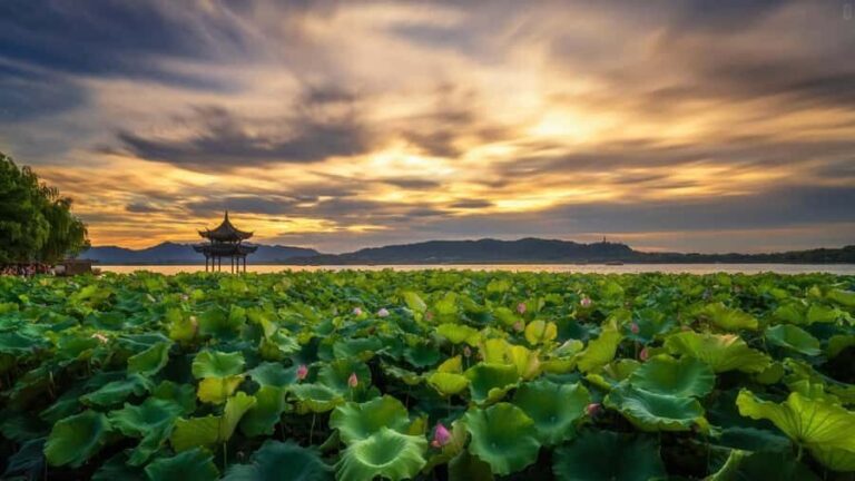 Hangzhou:Cultural and World Heritage Tour with Private Guide - The Itinerary Breakdown