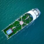 Hanoi: 5-Star Sea Lion Luxury Day Cruise in Halong, Buffet Lunch - Arriving at Tuan Chau Harbor and Boarding the Luxury Cruise