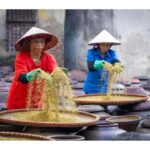 Hanoi: Bird Park & Soy Sauce Village or Hat, Incense Village - The Practical Side: Transport, Timing & Value