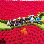 Hanoi Combo: City Sights, Incense Village, Train Street & Lunch - Practical Tips for Making the Most