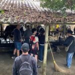 Hanoi Day-In-The-Life & Farm-to-Table Cooking Class  6 Hours - Value for Money and Overall Experience