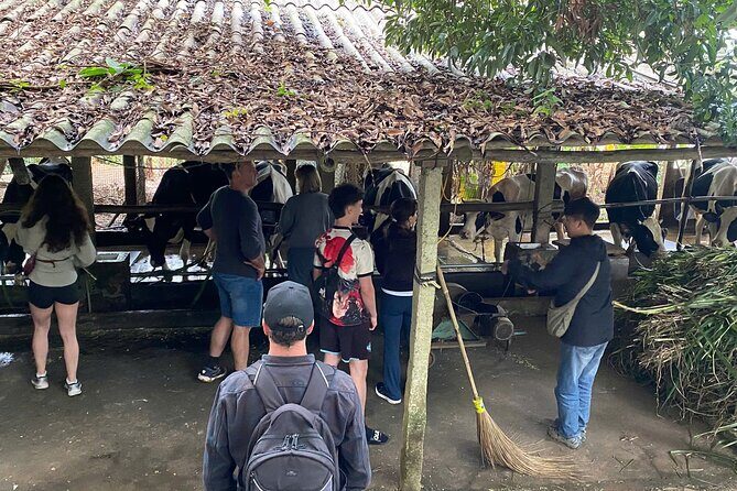 Hanoi Day-In-The-Life & Farm-to-Table Cooking Class  6 Hours - Value for Money and Overall Experience