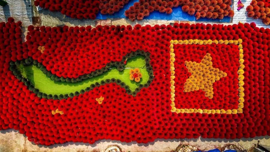 Hanoi: Dong Ky Carpentry Village or Hat & Incense Village - The Reality of Guided Tours: Pros and Cons