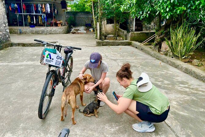 Hanoi: Explore Trang An, Bich Dong, Mua Cave Small Luxury Tour - Final thoughts