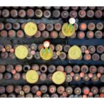 Hanoi: Fish Trap, Soy Sauce Village or Hat & Incense Village - A Complete Breakdown of the Tour Experience