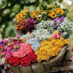 Hanoi Full-Day City Tour: Mausoleum, Temple, Pagoda & Lunch - Who Is This Tour Best For?