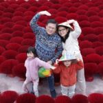 Hanoi Incense Village and Tam Coc Boat Trip Small Group Tour - What’s the Value?