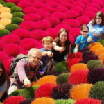 Hanoi Incense Village and Train Street Half Day Private Tour - What’s Included and What to Consider