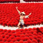 Hanoi: Incense Village, Hat-Making & Lacquer Artisan Tour - What to Expect at Each Stop