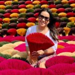 Hanoi: K9 Da Chong Site or Incense Village & Hat Village - The Itinerary Breakdown