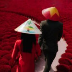 Hanoi: Keo Pagoda or Hat & Incense Village SMALL GROUP -BEST - A Deep Dive into the Itinerary