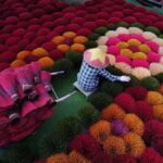 Hanoi: Ngo Luong Nature Reserve or Hat & Incense Village - Practical Details and What to Expect