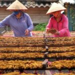 Hanoi Private Tour Discover Ancient Village & Traditional Crafts - Points to Consider